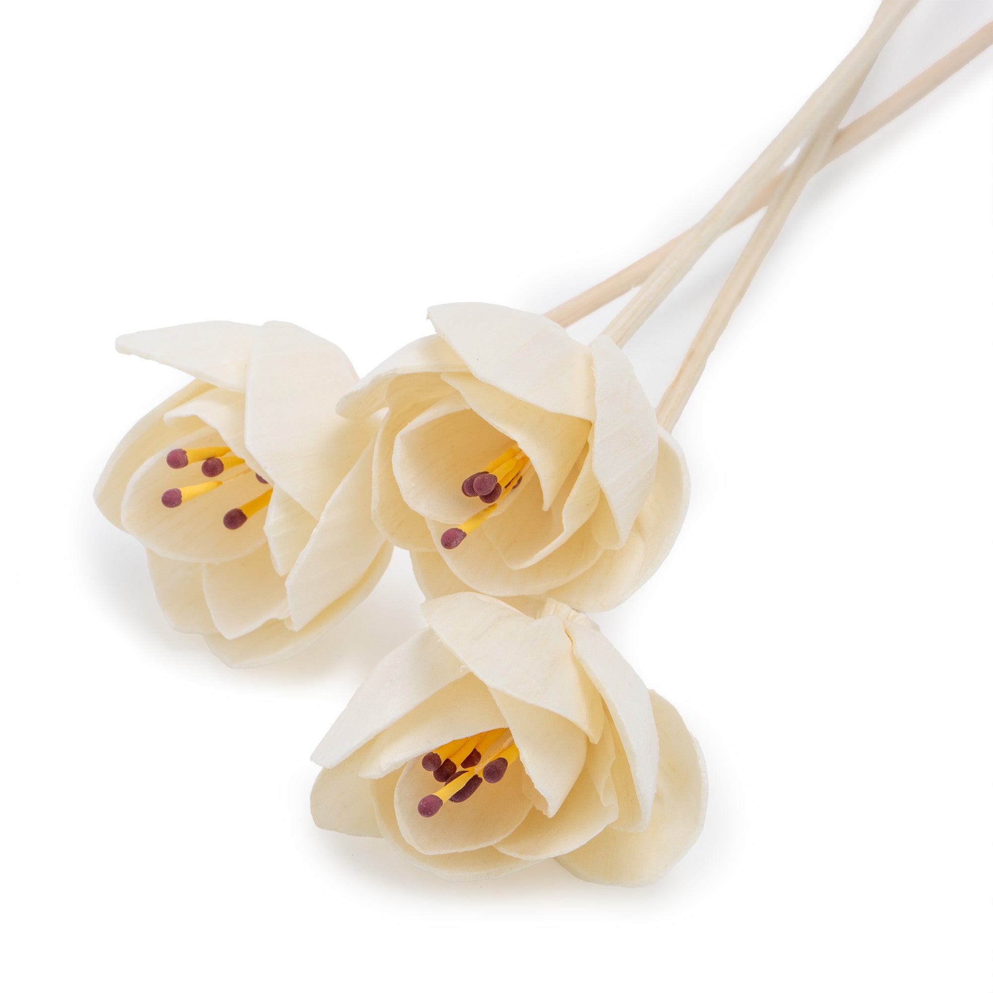 Classic Square Reed Diffuser - COMING SOON